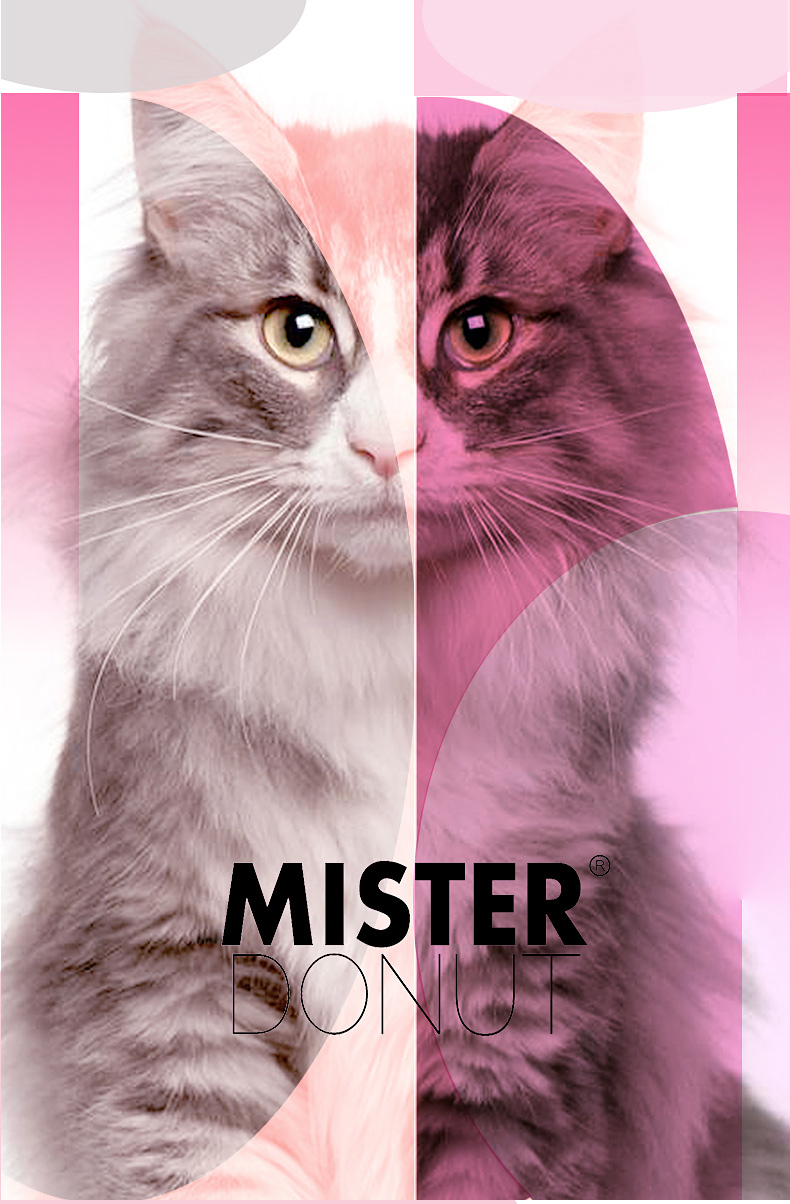 网易严选全价猫粮和冻干猫粮测评,十大口碑最好的猫粮评测