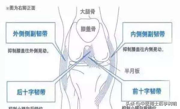 膝盖内侧痛解析,膝盖内侧韧带疼痛怎么分级