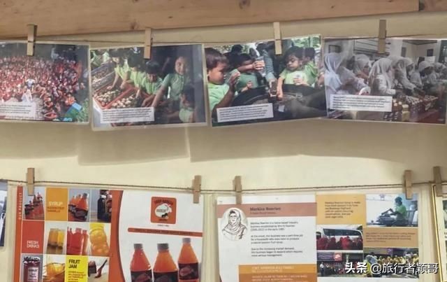 印尼棉兰多巴湖有什么特产,印度尼西亚棉兰多巴湖