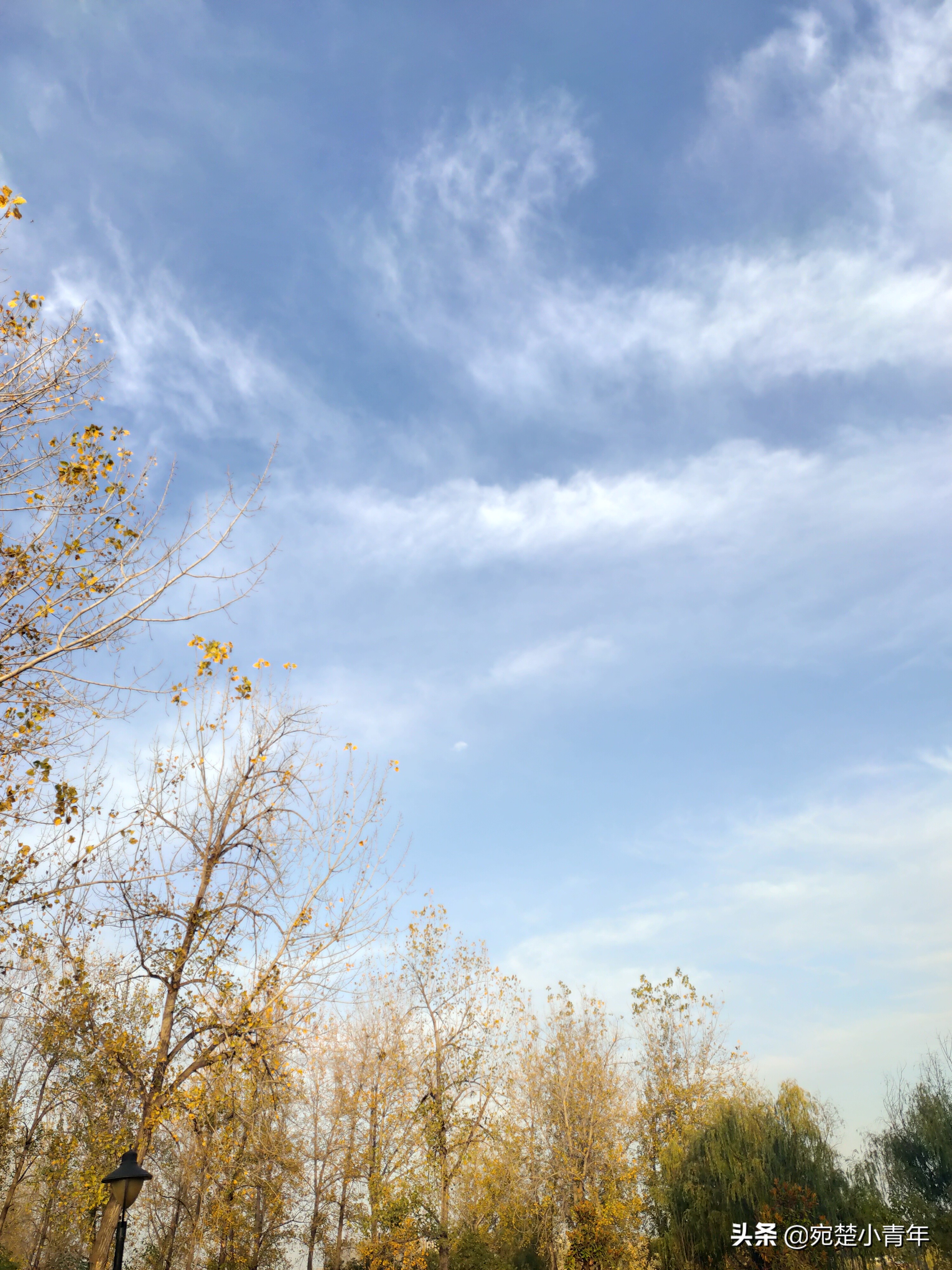 错过遗憾一辈子，大美南阳之秋：黄叶满地天湛蓝