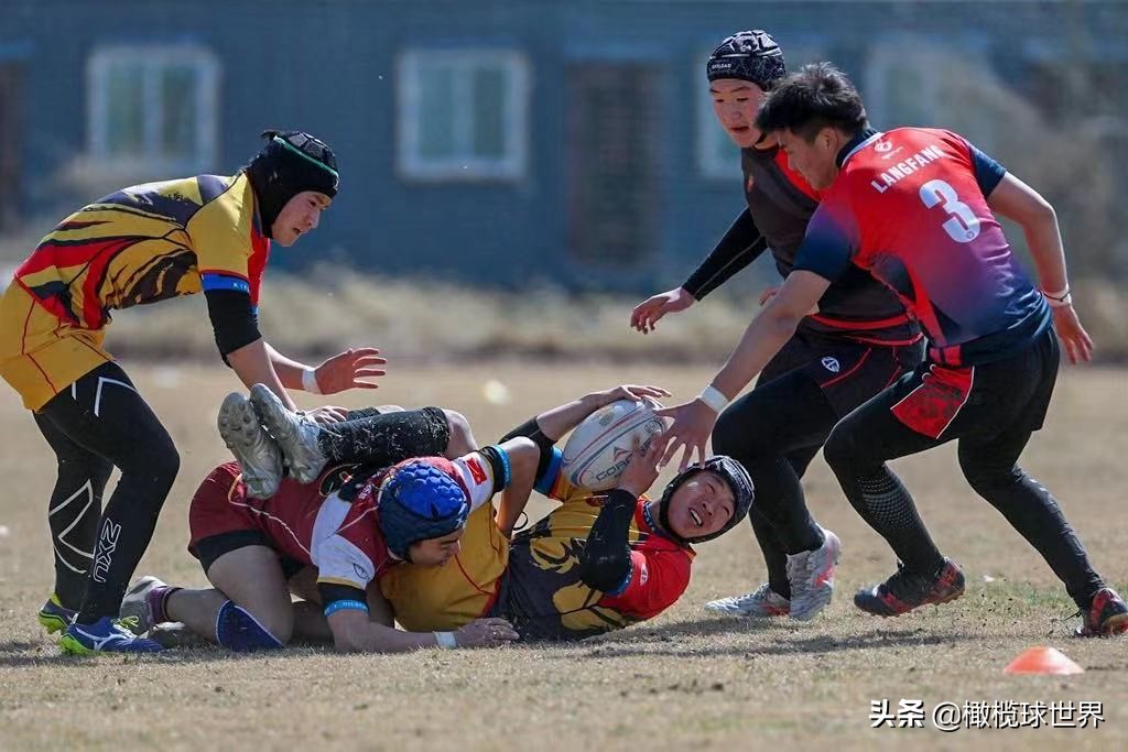 英式橄榄球今日赛程,2023年英式橄榄球中日韩青年比赛
