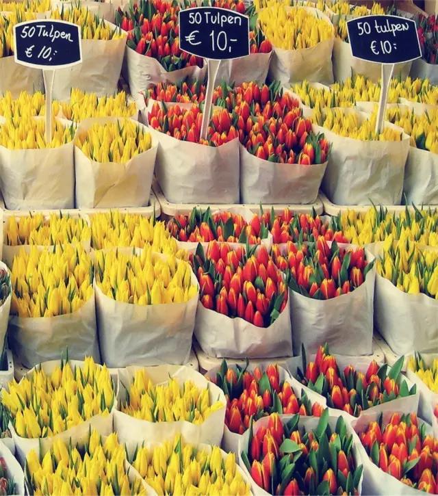 亚洲最大花市宛如仙境,中国最牛的花市