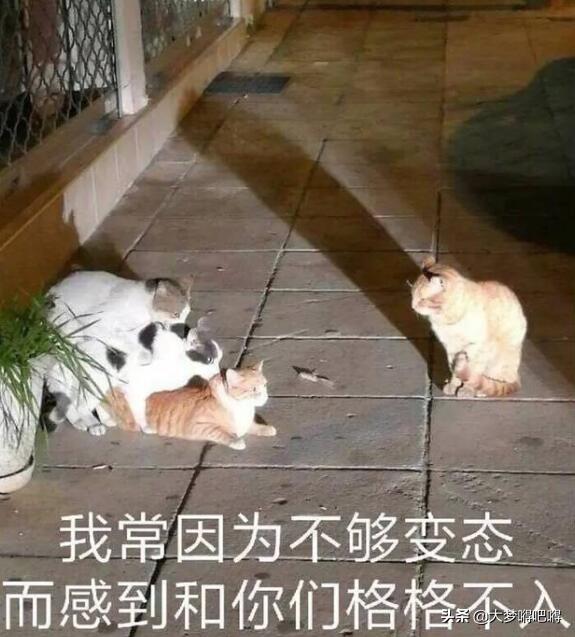 战意这款游戏如何,战意为什么这么多差评