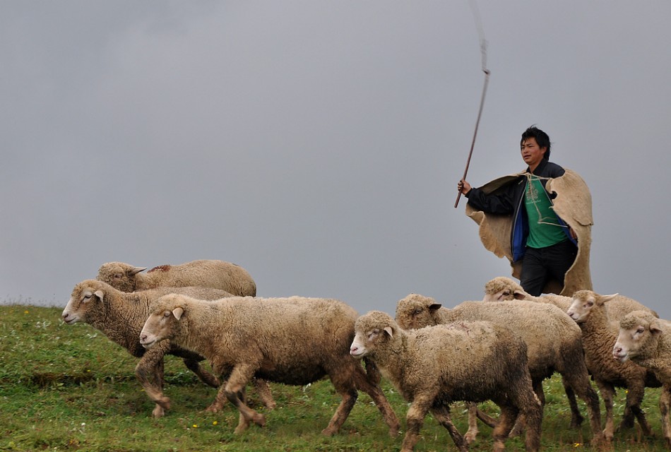 母亲说父亲是窝囊废,母亲说孩子是傻子