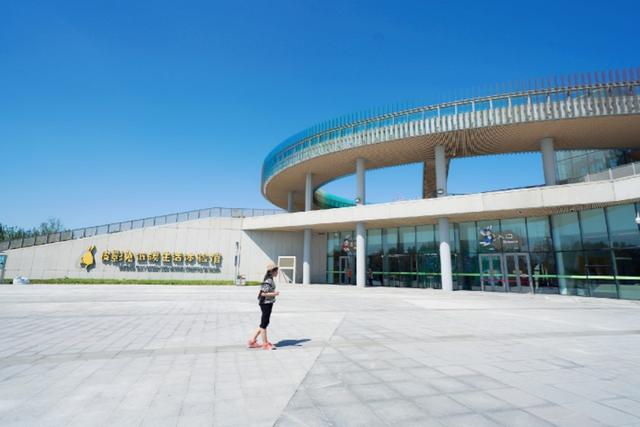 唐山研学地方,唐山研学好去处