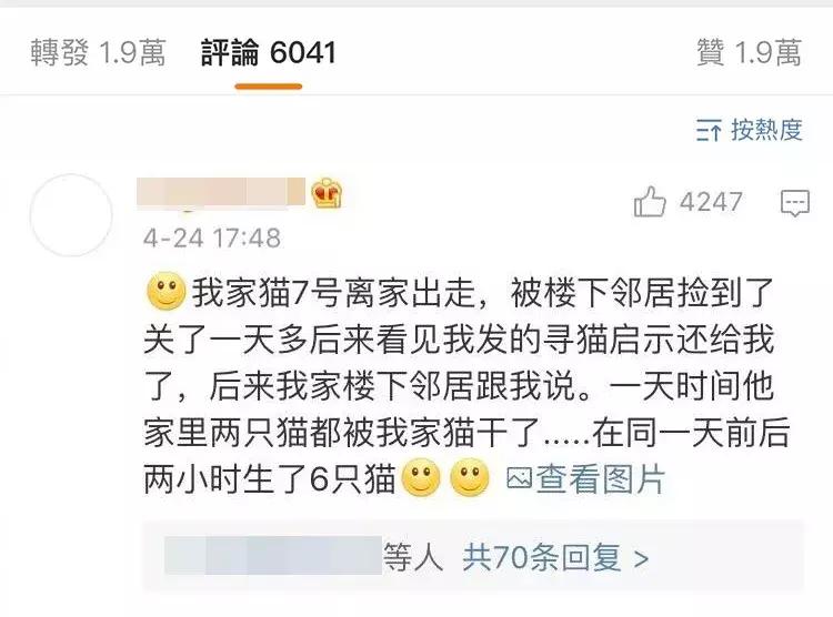 自从有了橘猫，我终于体会到什么叫“十橘九渣”！