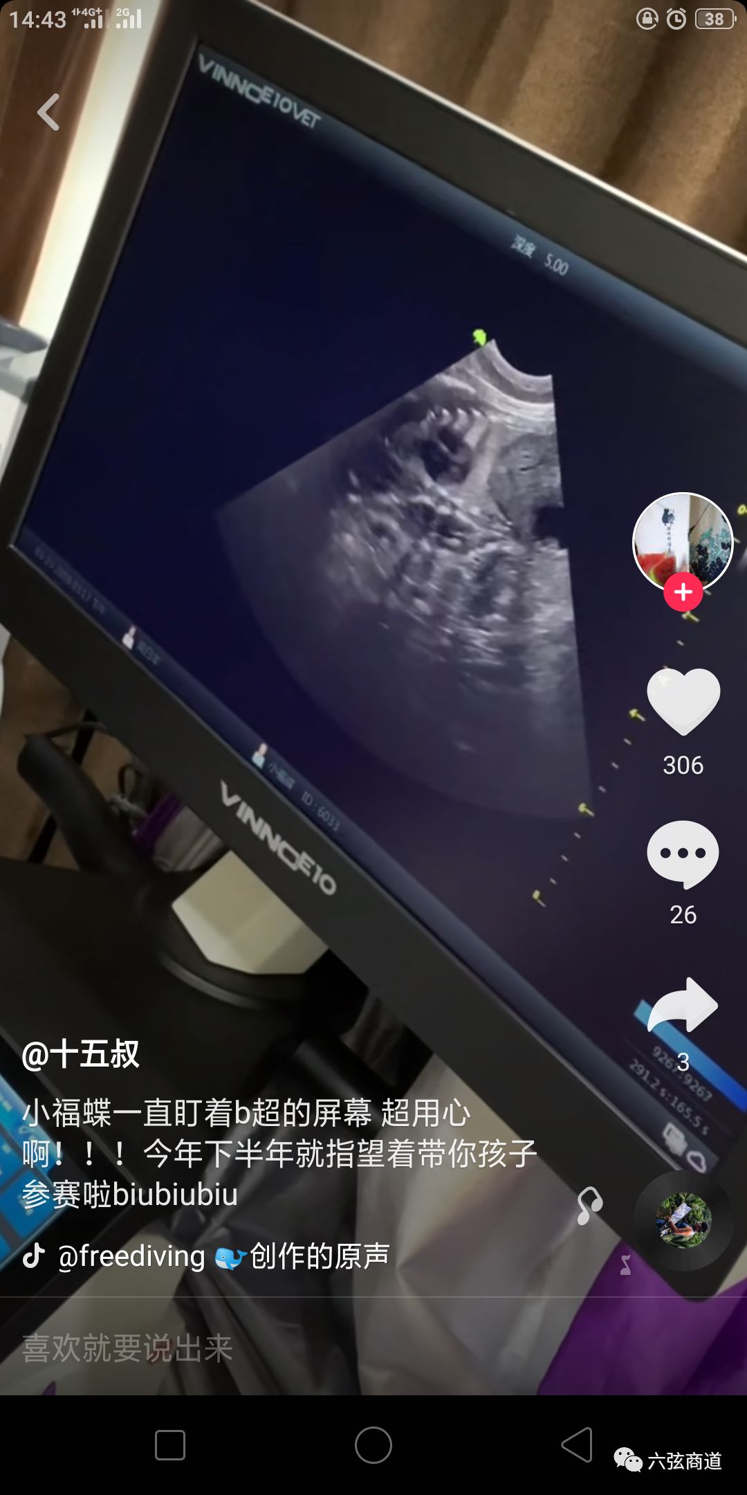 猫咪市场什么时候价格低,猫咪的火热市场