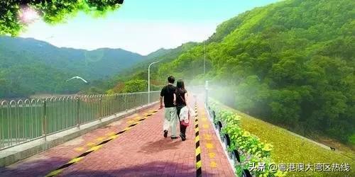 珠海打造粤港澳大湾区经济新引擎,珠海大湾区会成为经济中心吗