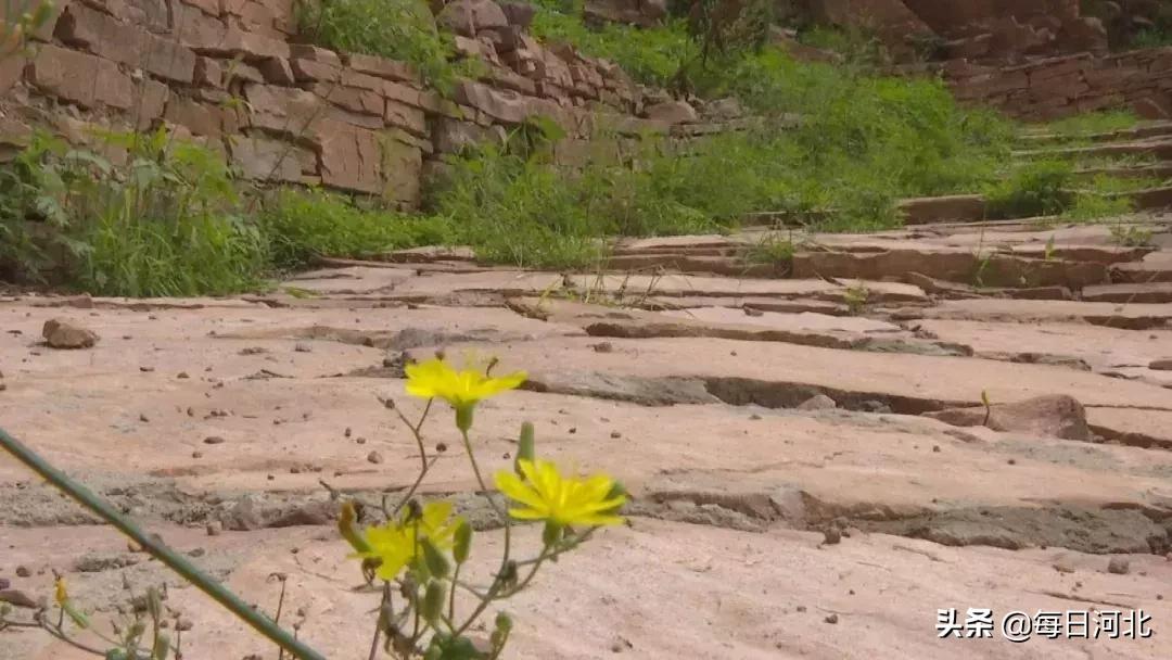 穿梭千年文化的古道,穿梭千年寻找前世之旅插曲