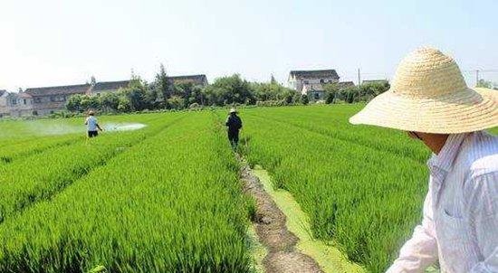 农村创业好点子推荐,最有前景的10个农村创业点子