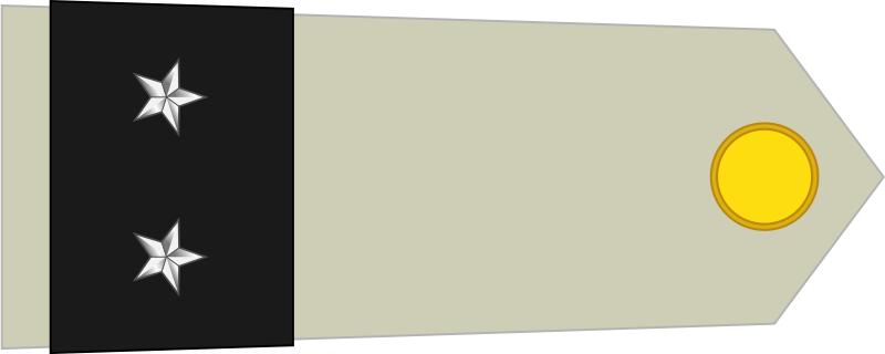 法国将军军衔等级,法国上校是什么军衔