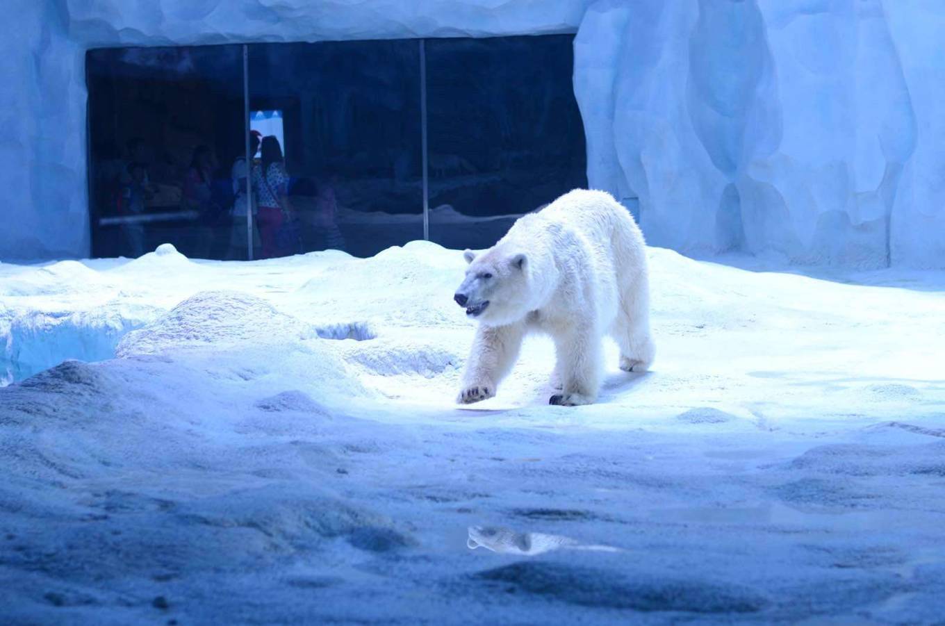 珠海长隆两日一晚游玩攻略,珠海长隆一日游攻略中餐