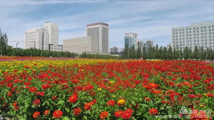 我的鄂尔多斯电视剧乐视,我的鄂尔多斯电视剧片尾曲