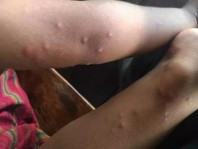 他叫辛巴，不是狮子王，8岁穿越12国：最好的教育，永远在路上