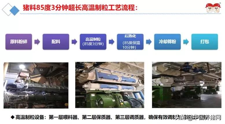双胞胎饲料厂工艺流程,双胞胎饲料质量问题