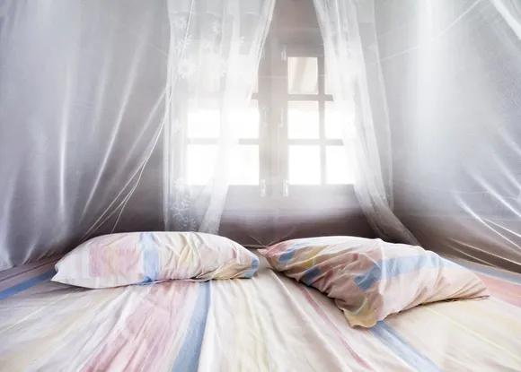 a和o型血小孩吸引蚊子,o型血的宝宝更招蚊子吗