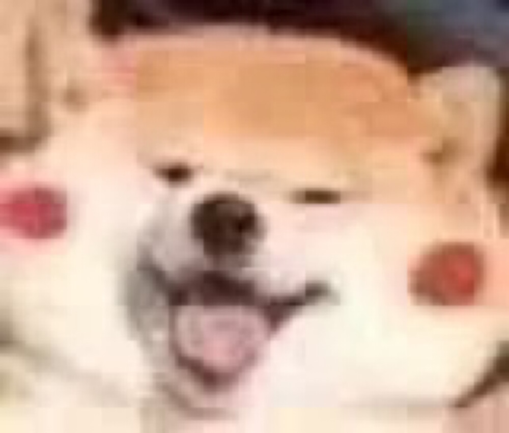 表情包大全可爱简单,可爱表情包我就是个不争气的东西