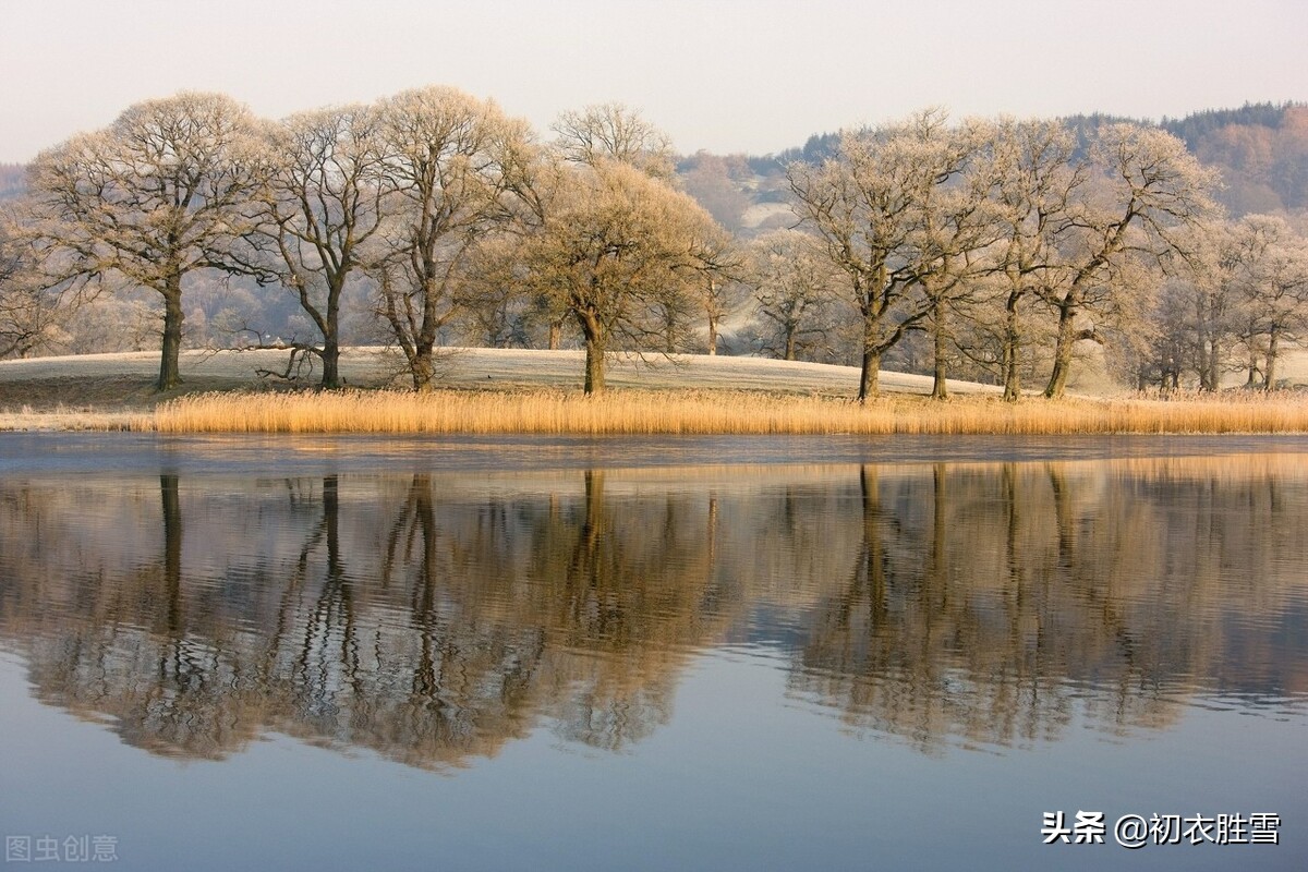 清丽早冬美诗五首赏读：杨柳不知秋已远，可怜冬景似春华