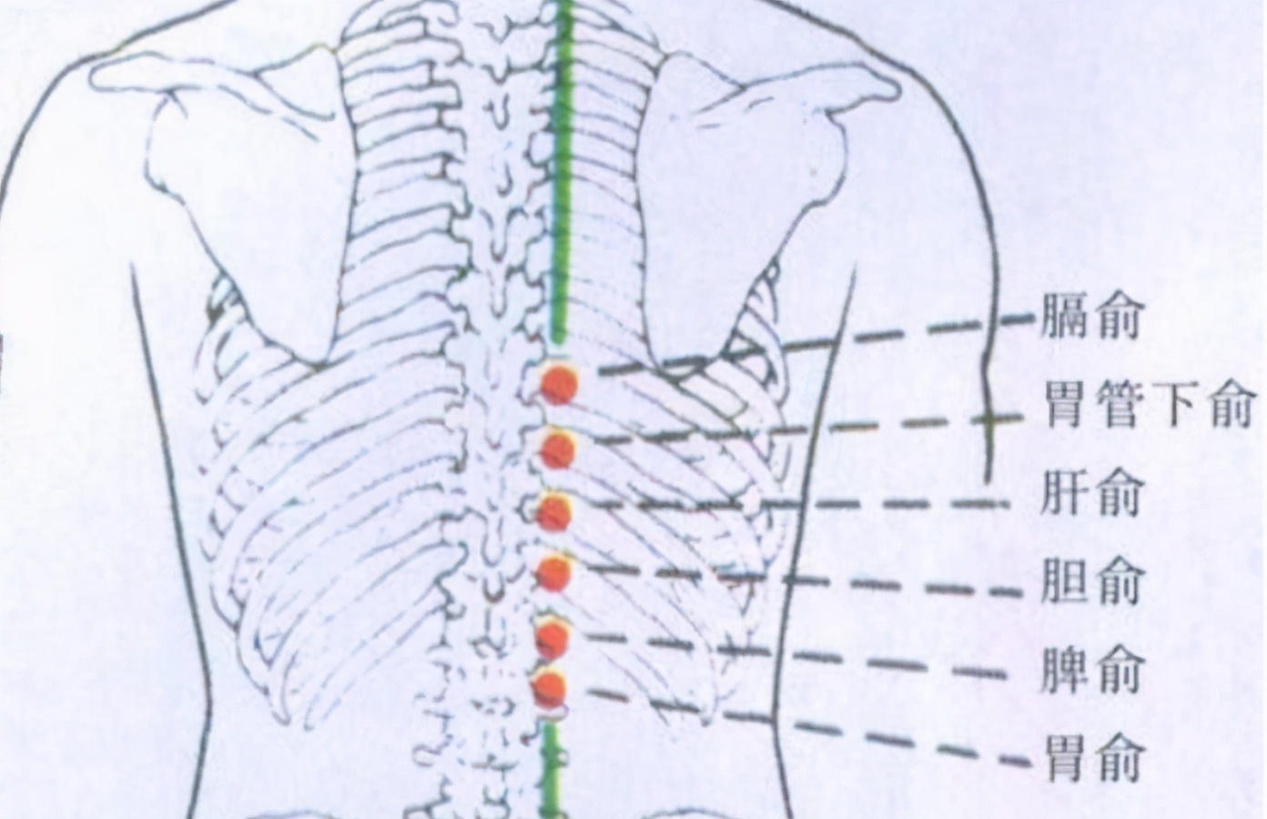 按摩眉毛的穴位有什么功效,中医养生按摩穴位视频