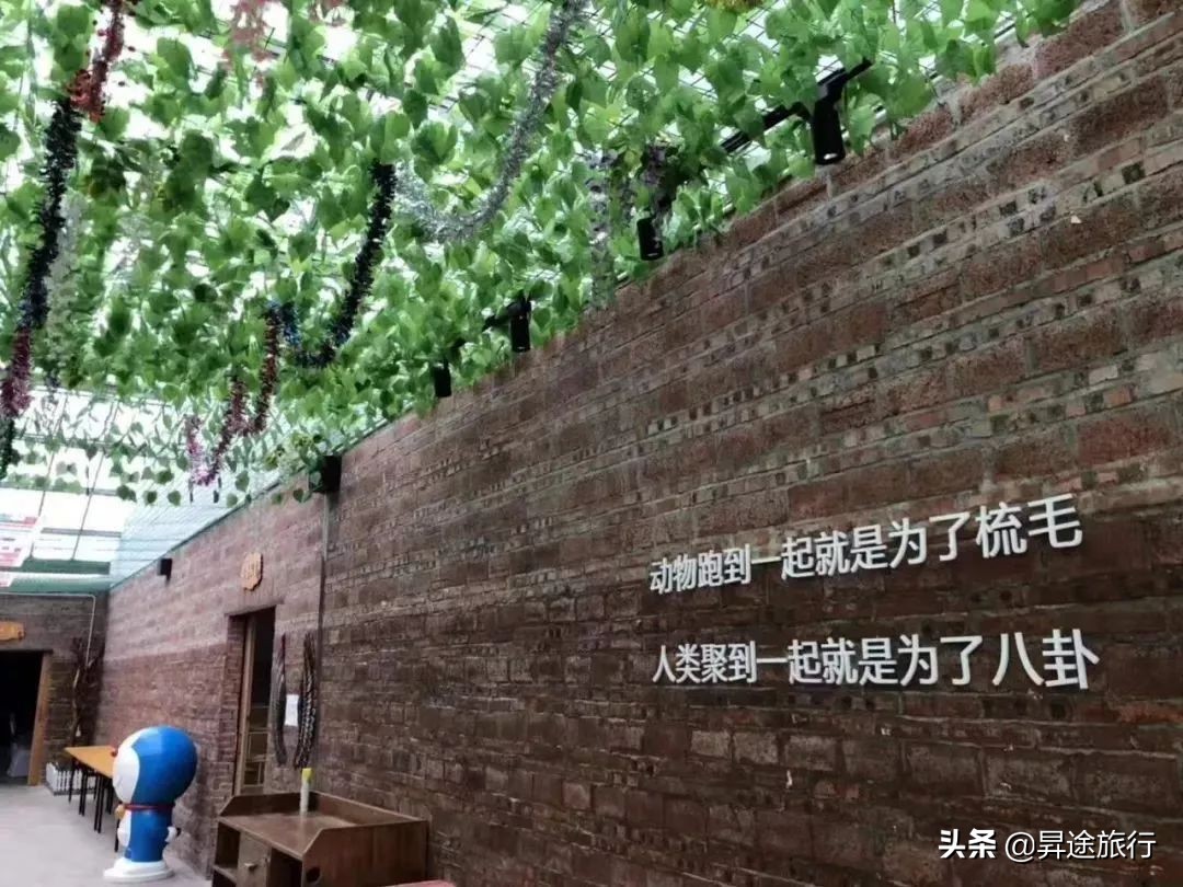 珠海长隆水上乐园刺激儿童也能玩,珠海长隆水上乐园空中旋转