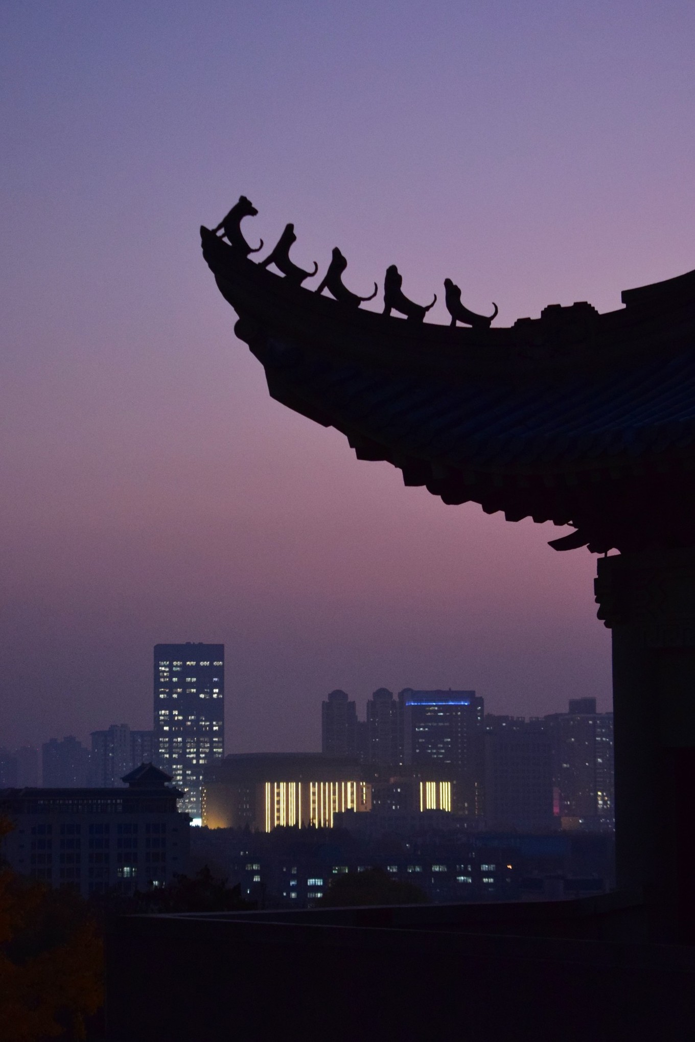 武汉开学震撼画面,夏季的武汉大学风景