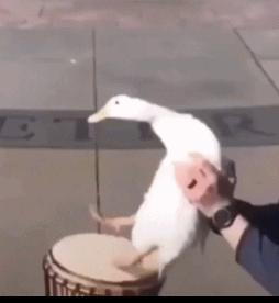 别骂了别骂了，我不就是被充多多忽悠了嘛