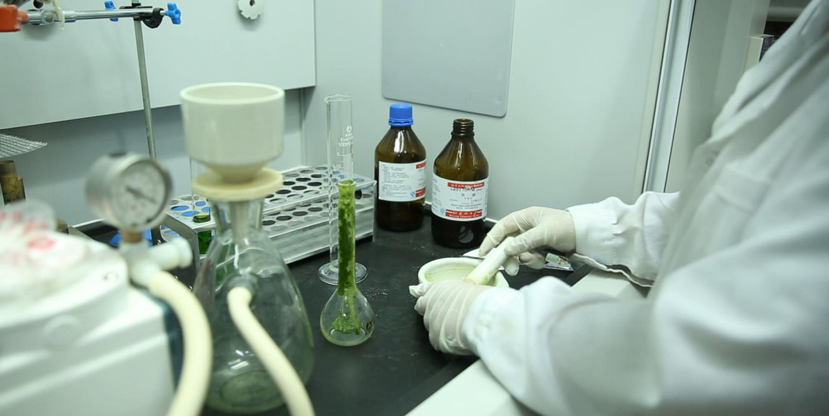 容声冰箱bcd-255wk说明书,知电实验室洗衣机评测