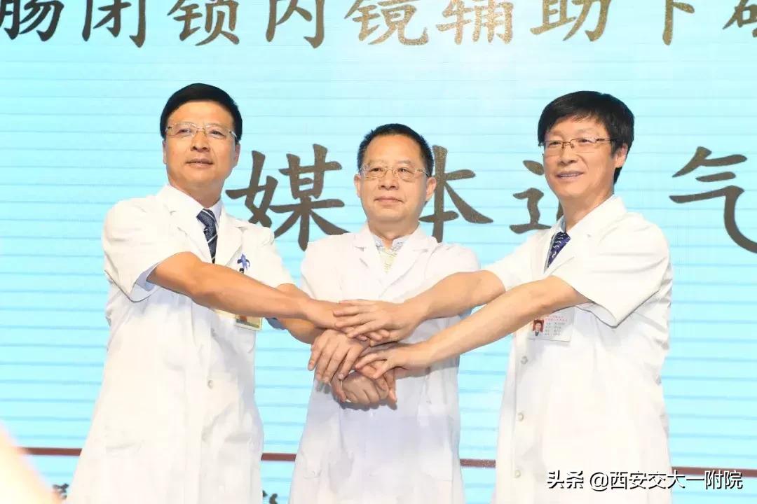 告别胀气堵塞,告别各种肠胃困扰