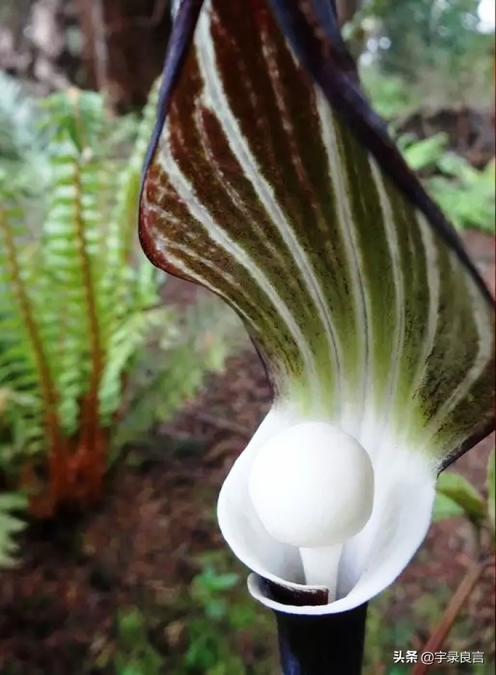 简短精辟的个性签名语录,个性签名经典语录精辟的短句