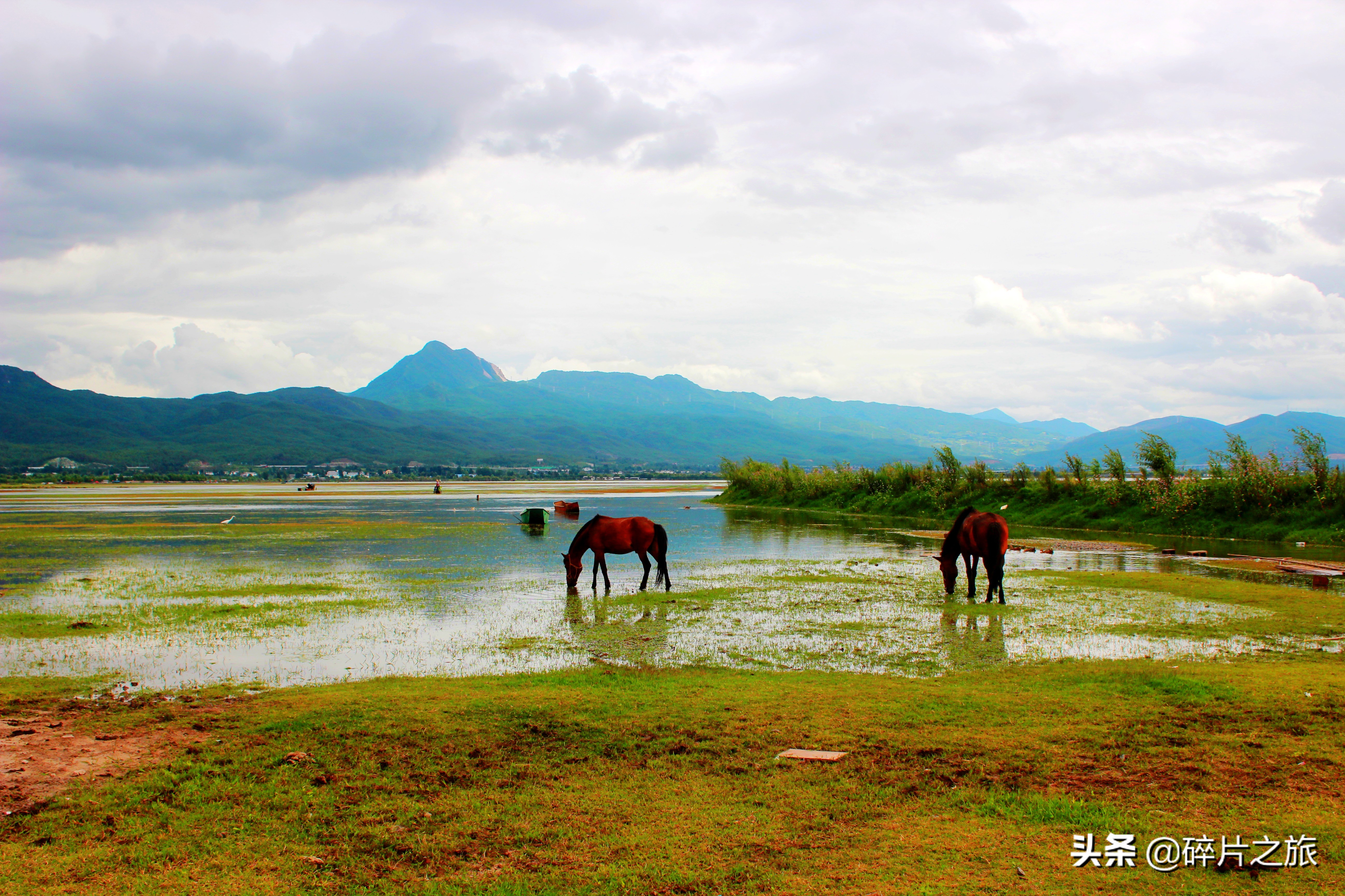 云南九日游纯玩团,云南九日游最佳路线