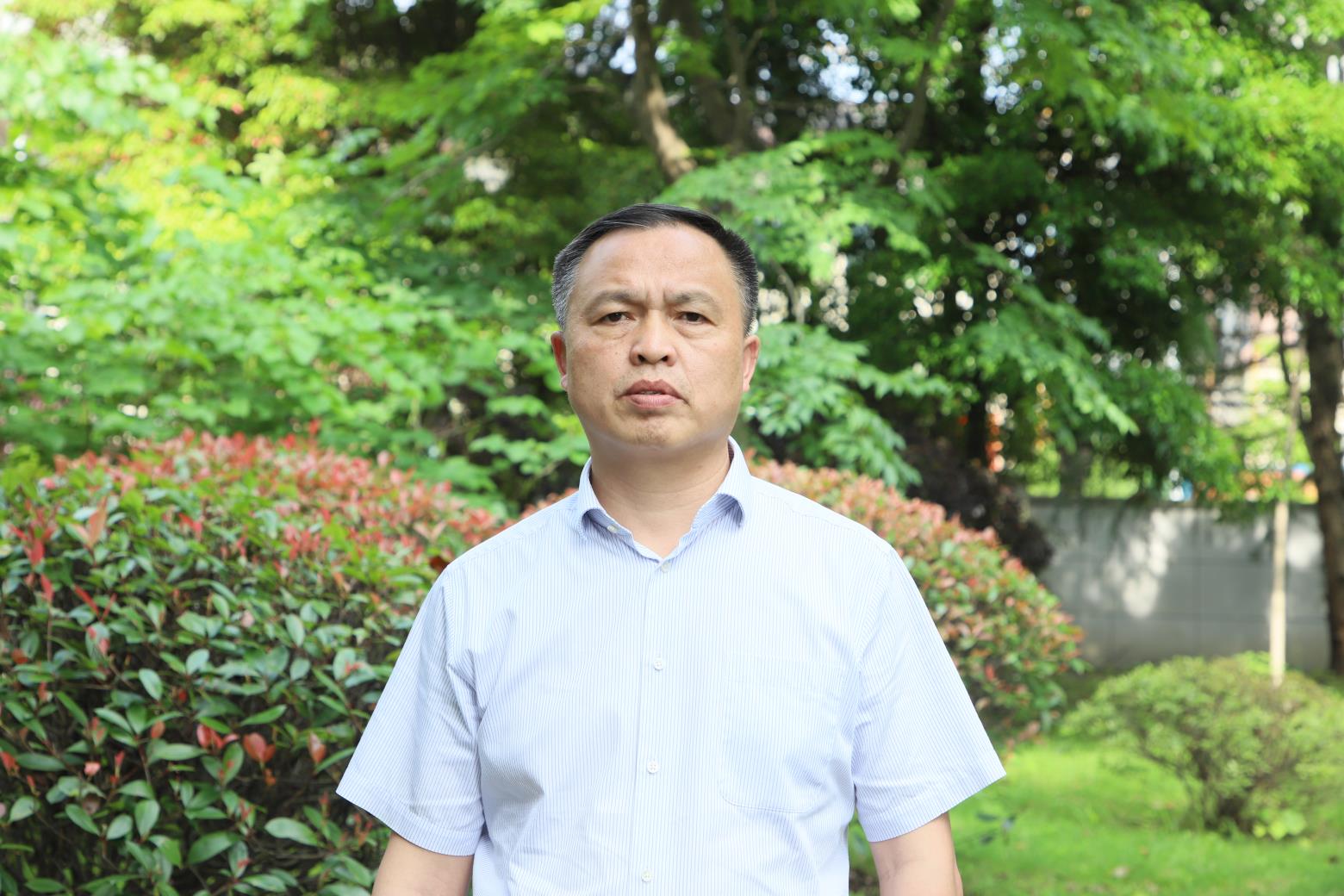 丝瓜创业致富,白关镇白丝瓜种植