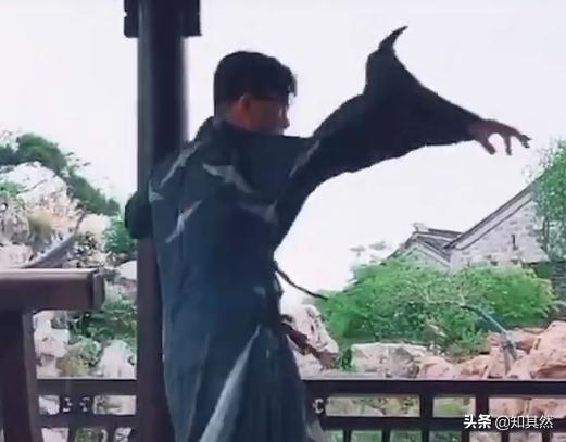 李云天：少年已过青山外