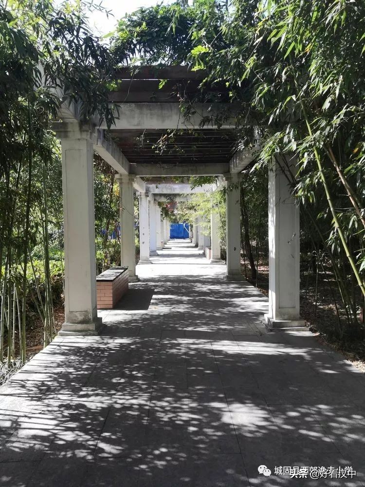 陕西省汉中市城固县西郊逸夫小学,汉中市城固县西郊逸夫小学