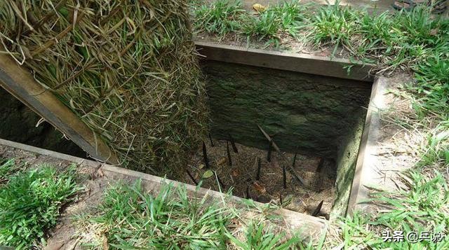 越军遍设竹尖陷阱，外加毒蛇，美军闻风丧胆，不敢收尸