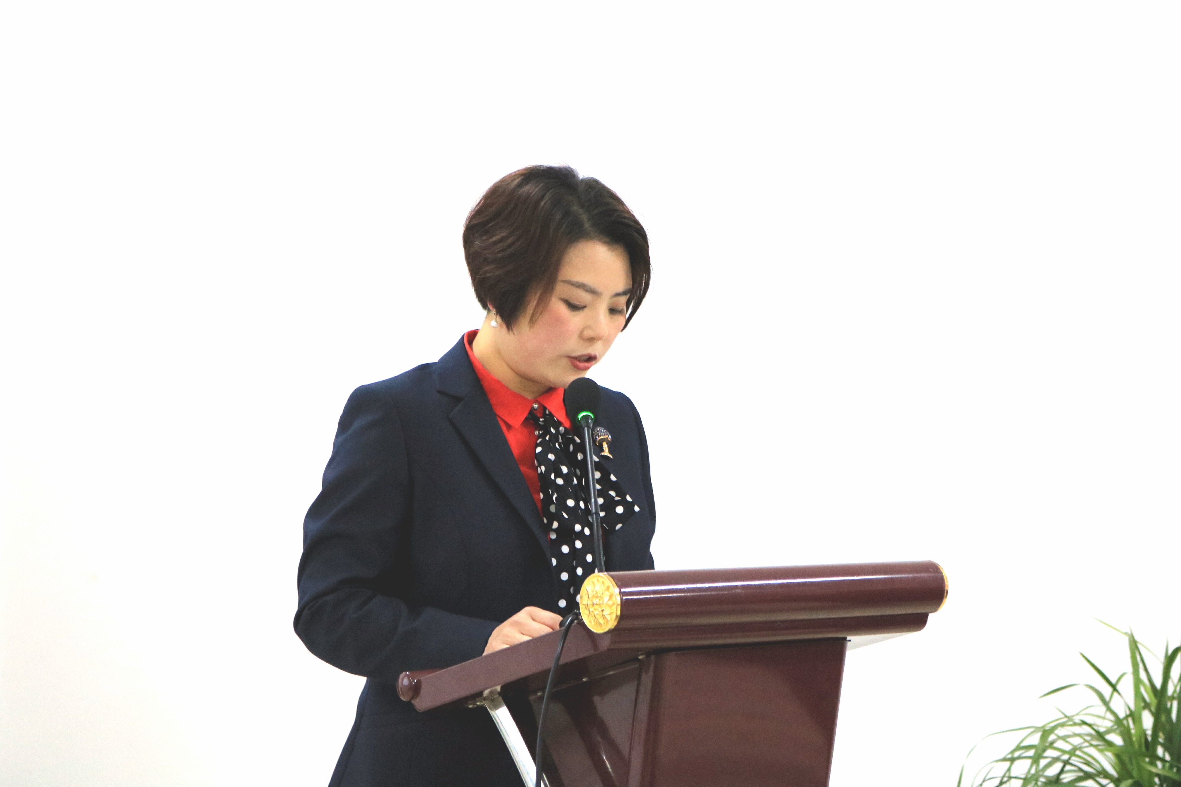 幼儿园足球课题计划,幼儿园足球课题研究十三五规划