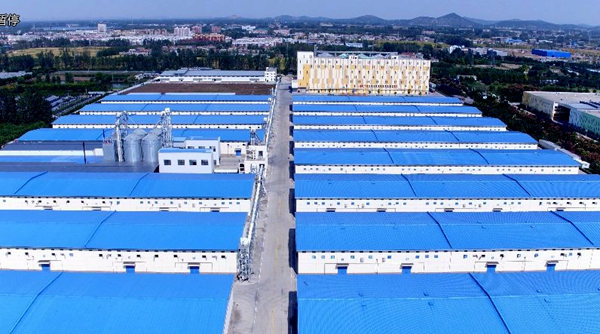 徐州农业示范基地,徐州传统农业产业