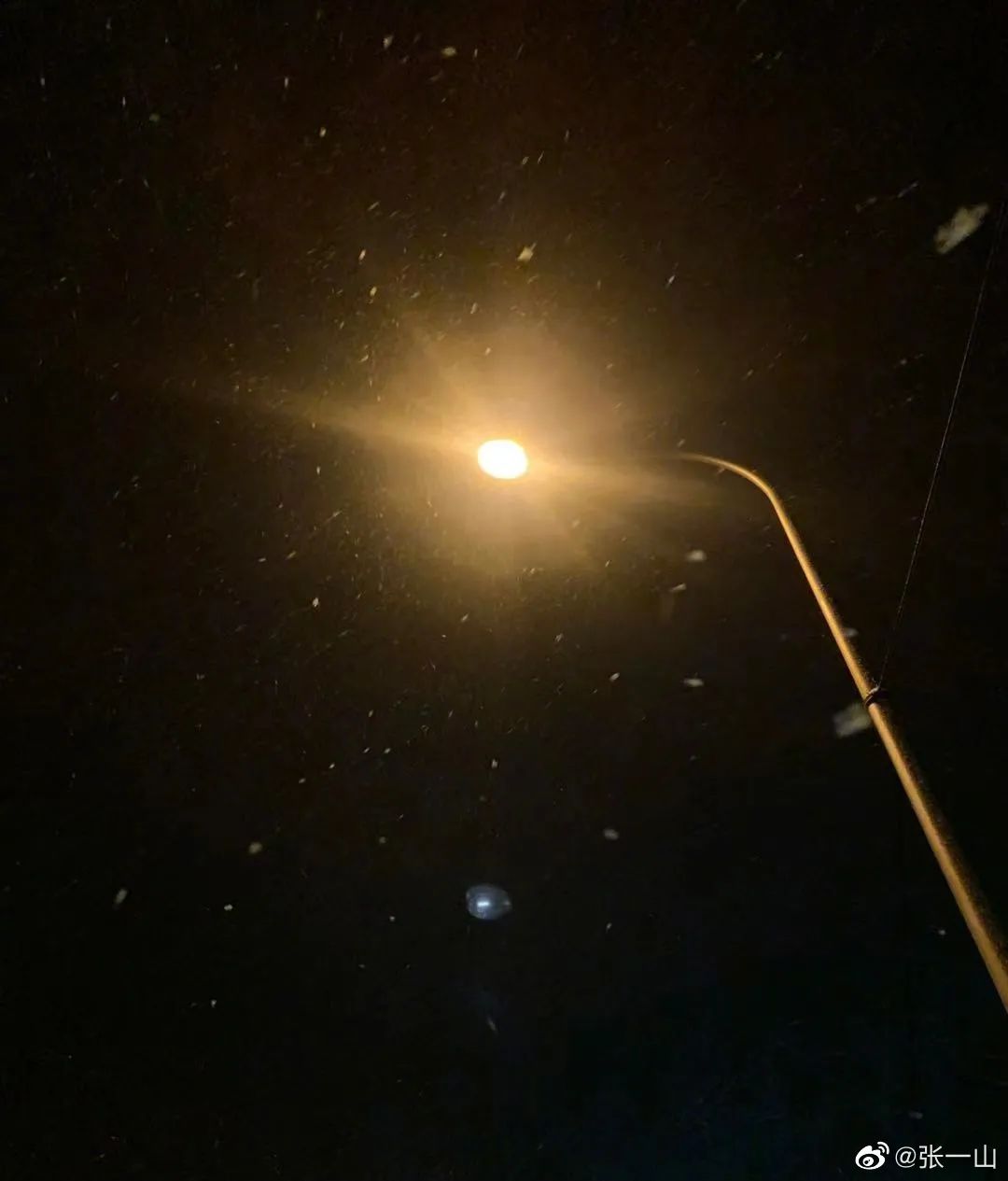 张一山真的表白杨紫了吗,张一山是在表白杨紫吗