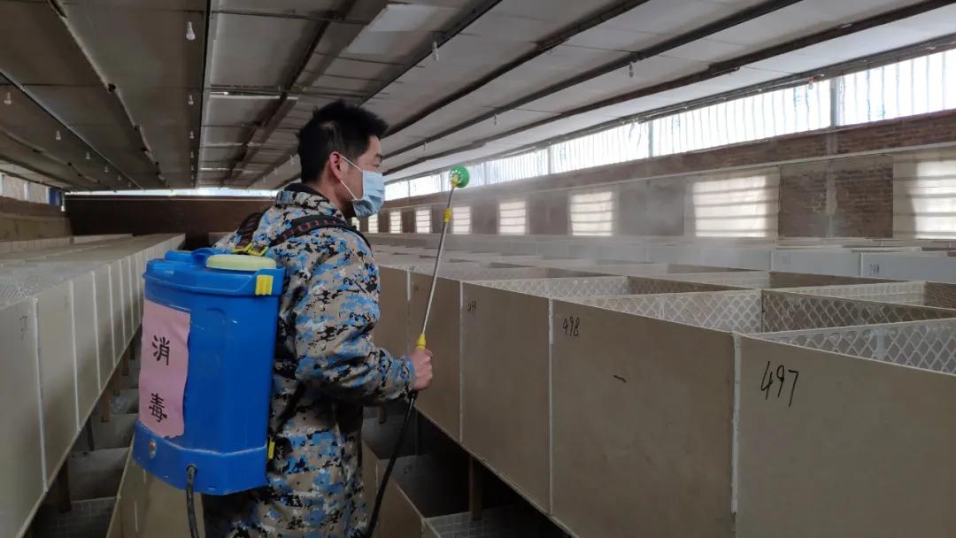 竹鼠多少只被判刑,养殖竹鼠判刑