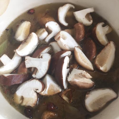 炖汤是高压锅好还是砂锅好,炖汤用高压锅还是砂锅