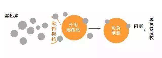 暑假美白攻略三招让你变美逆袭,秋季美白护肤方法