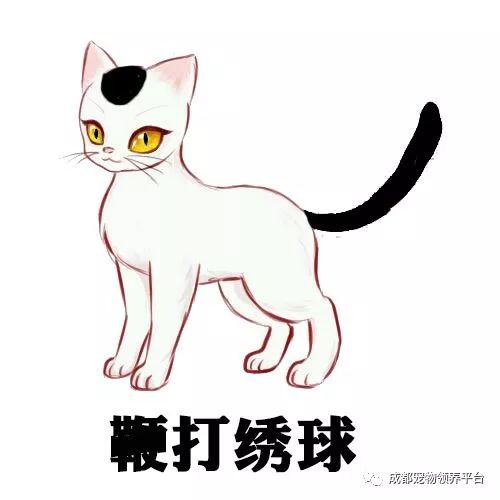 谁说土猫无名猫？快来围观古代猫谱，你家有没有镇宅神兽！