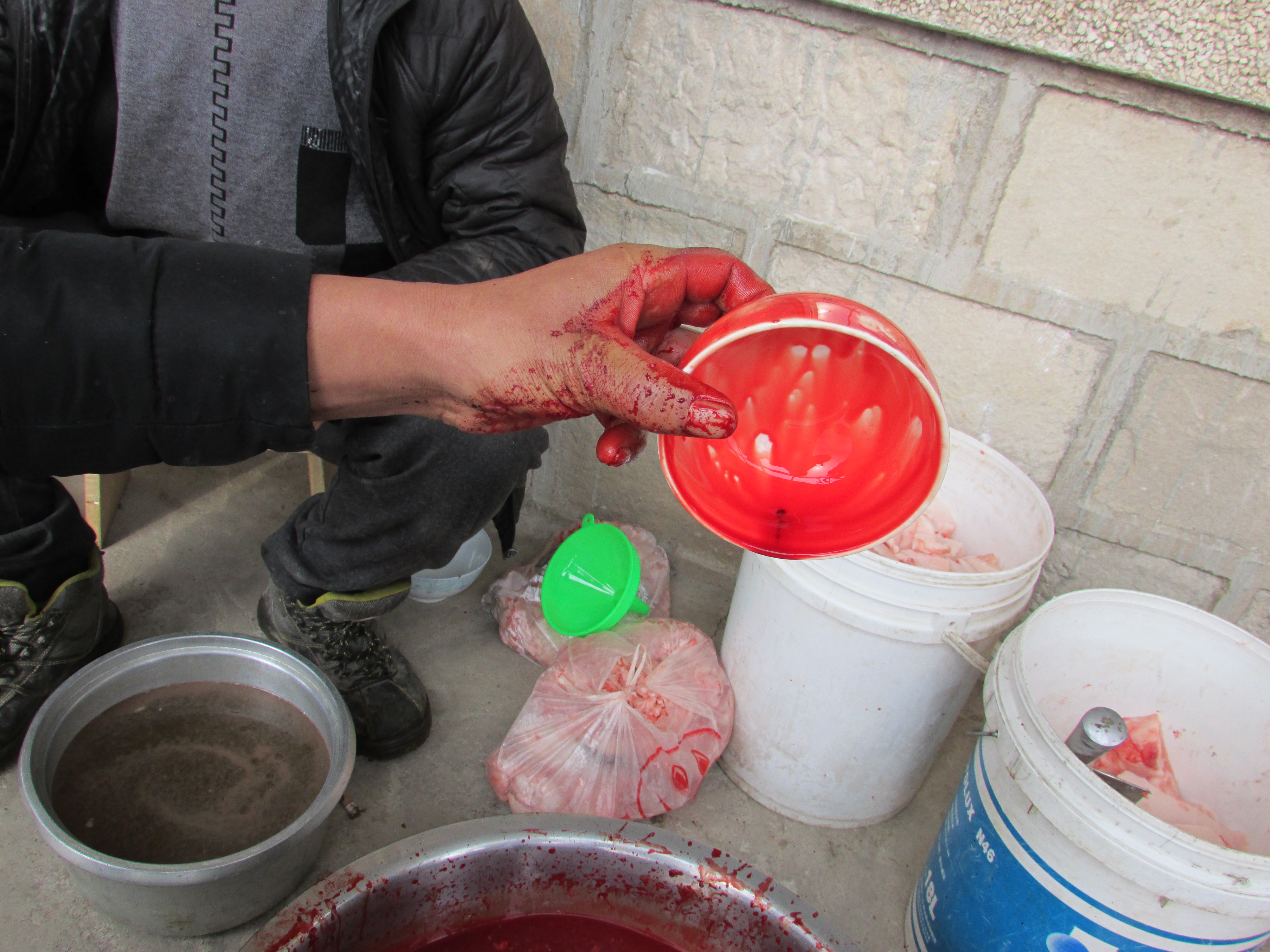 东北杀年猪来吃猪肉,老东北杀年猪