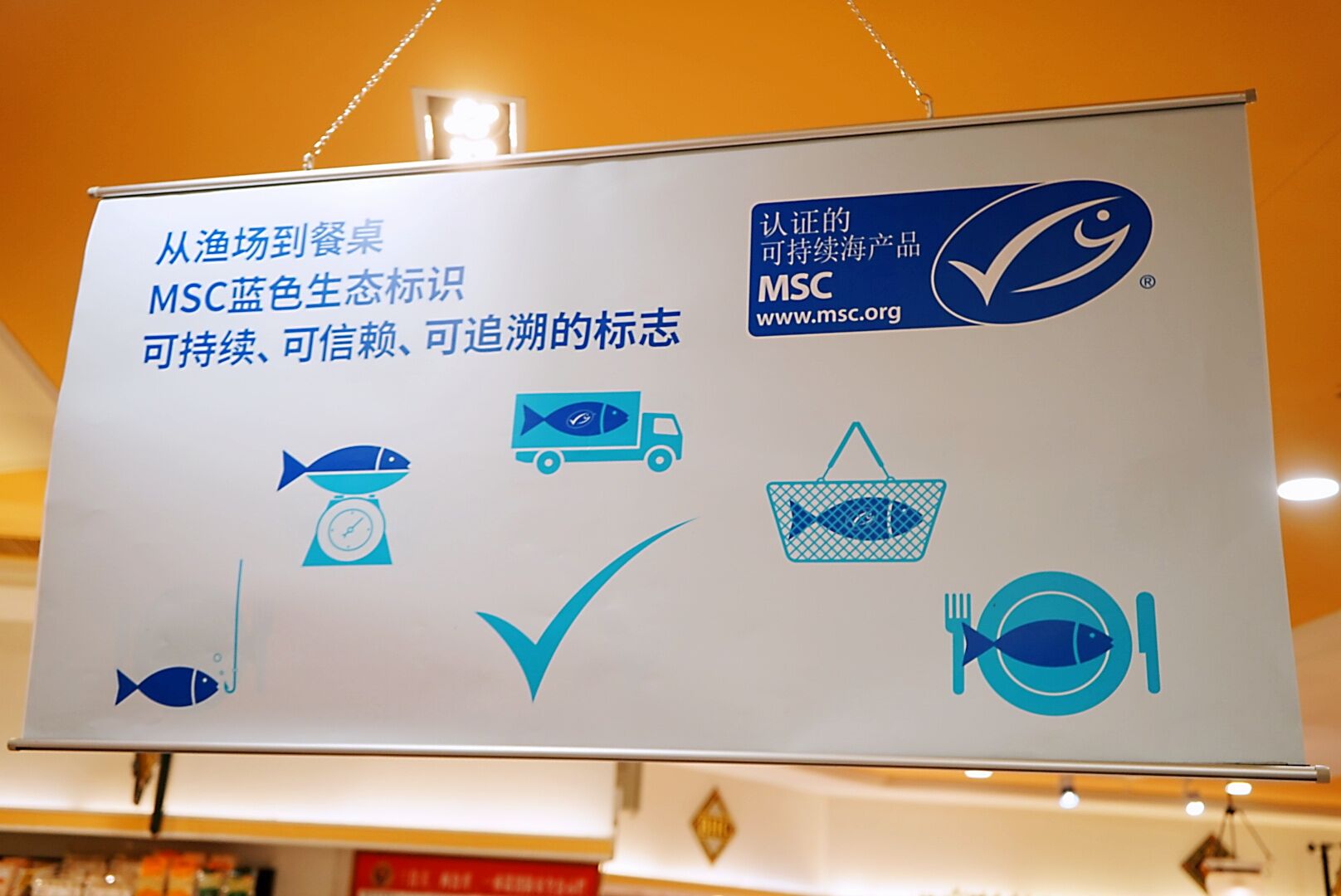 鳊鱼这样做又好看又好吃,小蓝鱼怎么做