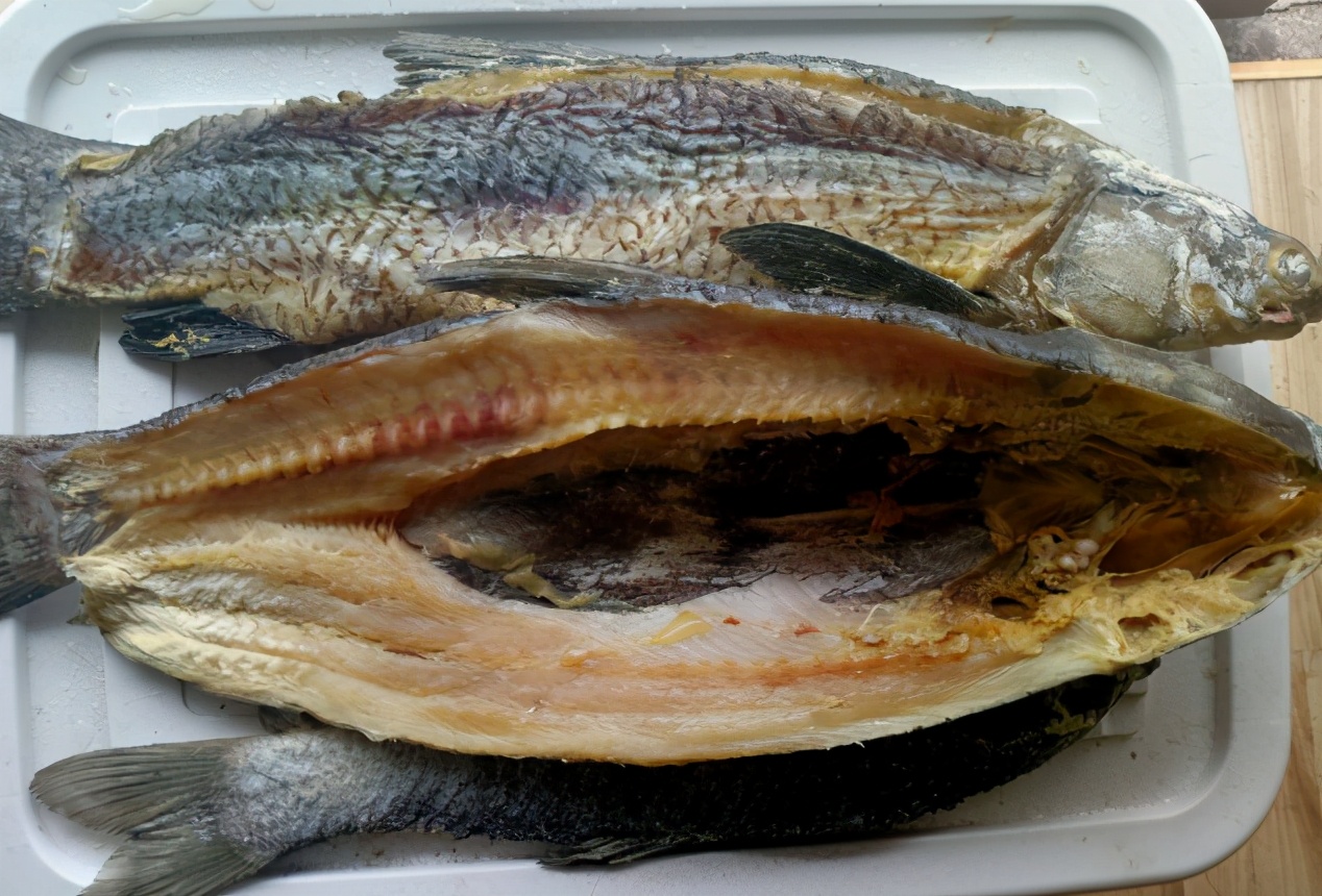 它是四大家鱼之一，嘴里含宝石，生长快个头大，如今却少有人养殖