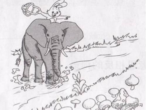 一二年级必考看图写话训练及范文,二年级看图写话写作技巧及练习