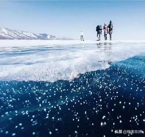 去了非洲才知道，人类才只是这个世界的过路者