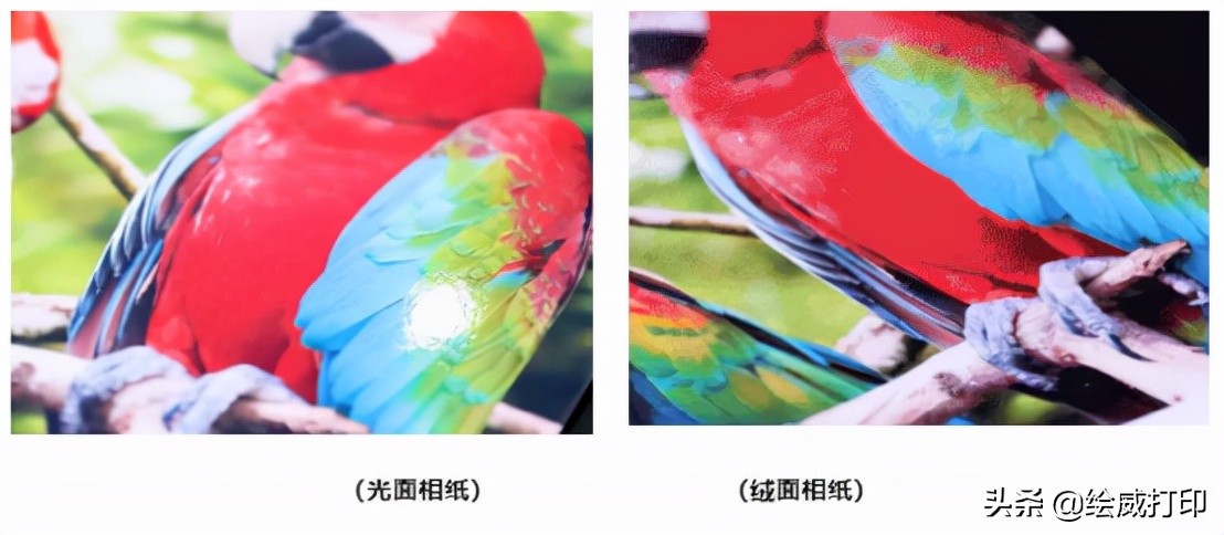 手机怎样打印照片调整照片的尺寸,cp1300打印照片尺寸设置技巧