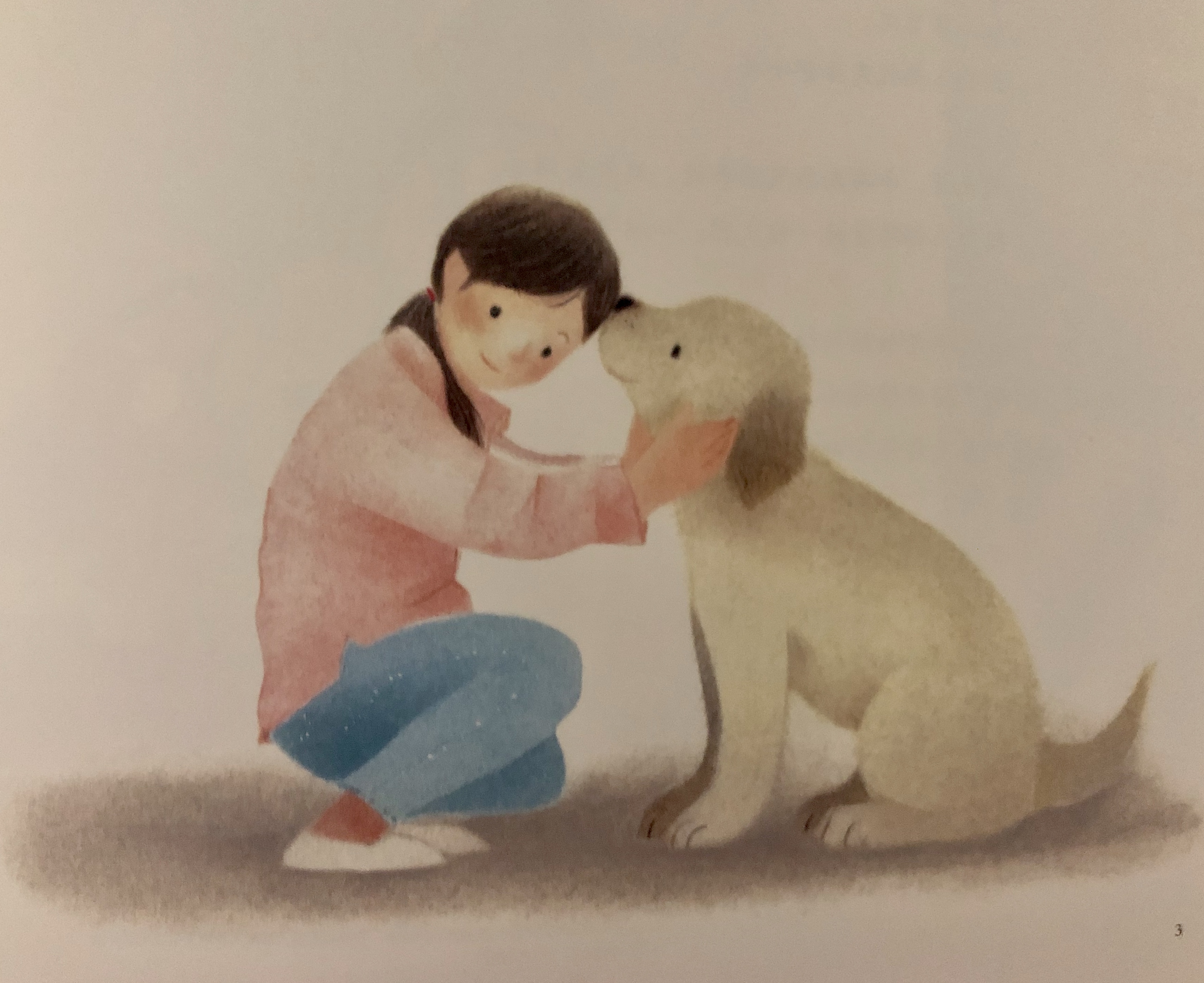 导盲犬的一生五个特征,导盲犬的生命历程回忆