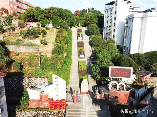 择校而居择优而邻,开学季选个靠谱的学区房