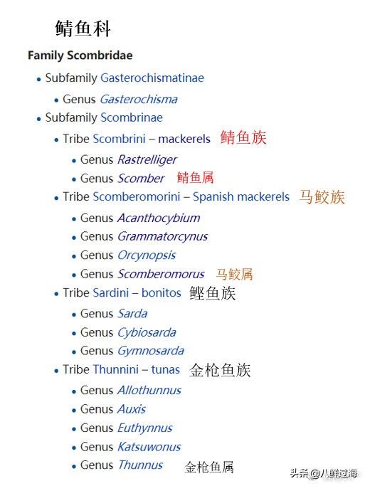 挪威鲭花鱼和日本鲭花鱼,真鲭鱼和胡麻鲭鱼的区别